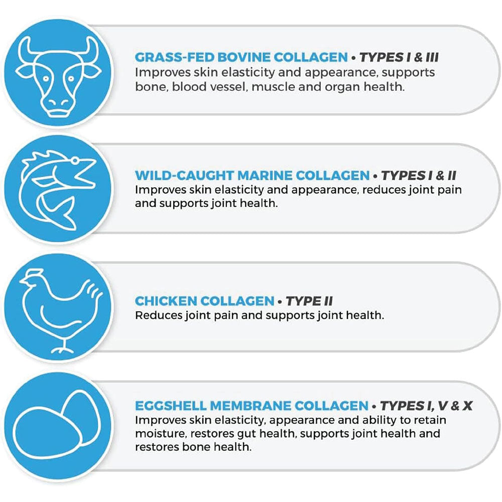 
                  
                    Longevity Collagen + TYPE I, II, III, V, & X Hydrolyzed Collagen Peptides Unflavored Powder Graphic 3
                  
                